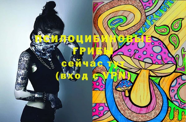 СК Абдулино