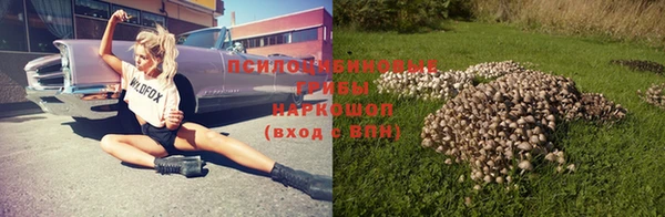 СК Абдулино