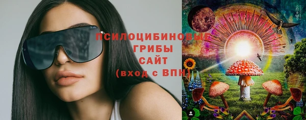 СК Абдулино