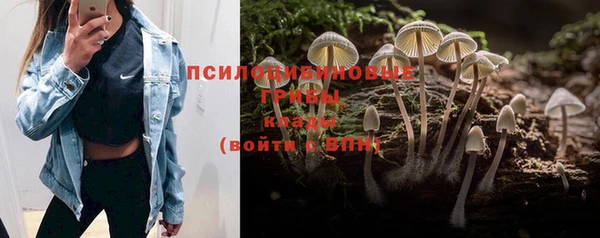 меф Абаза
